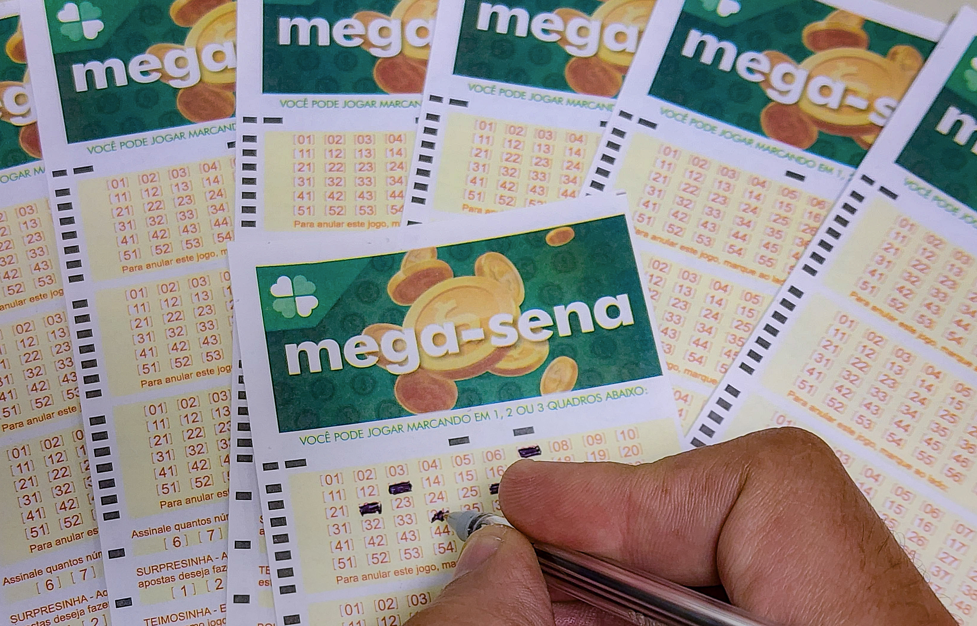 Volante e bilhetes de apostas da Mega-Sena em casa lotérica