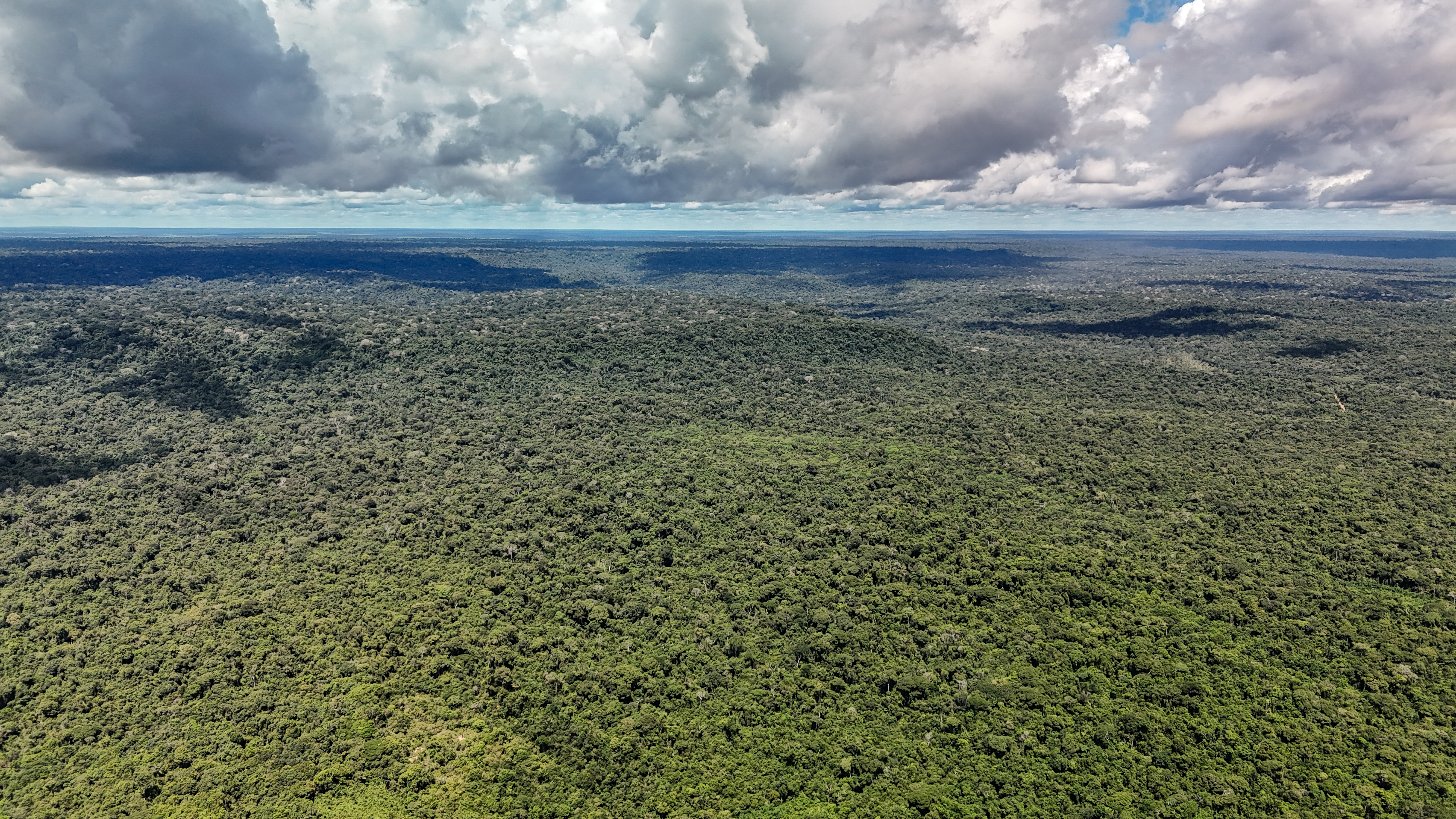 Vista aérea de área de floresta e terra desmatada na Amazônia